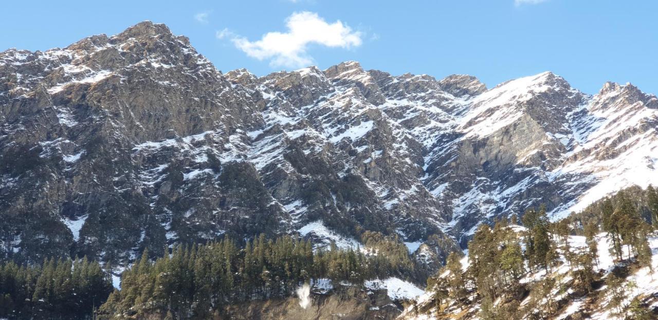 Хостел Backpackers Headquarter Manali Экстерьер фото